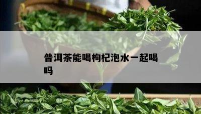 普洱茶能喝枸杞泡水一起喝吗