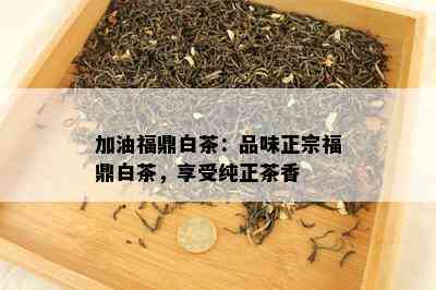 加油福鼎白茶：品味正宗福鼎白茶，享受纯正茶香