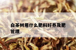 白茶树用什么肥料好养及肥管理