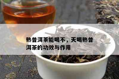 熟普洱茶能喝不，天喝熟普洱茶的功效与作用