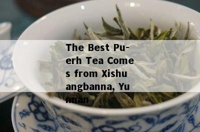 The Best Pu-erh Tea Comes from Xishuangbanna, Yunnan