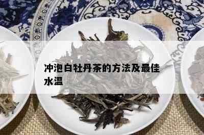 冲泡白牡丹茶的方法及更佳水温