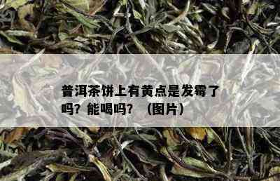 普洱茶饼上有黄点是发霉了吗？能喝吗？（图片）