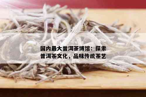 国内更大普洱茶博馆：探索普洱茶文化，品味传统茶艺