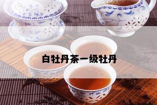 白牡丹茶一级牡丹