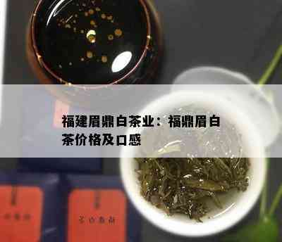 福建眉鼎白茶业：福鼎眉白茶价格及口感