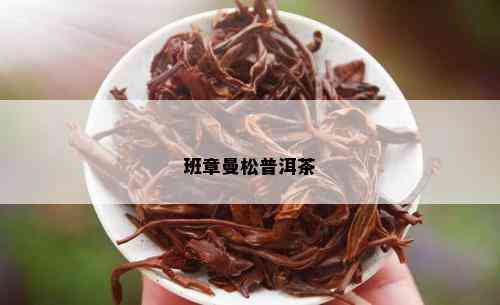 班章曼松普洱茶