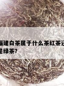 福建白茶属于什么茶红茶还是绿茶？