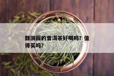 馥漪园的普洱茶好喝吗？值得买吗？