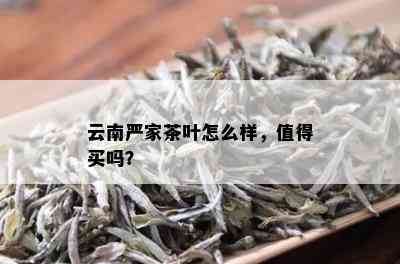 云南严家茶叶怎么样，值得买吗？