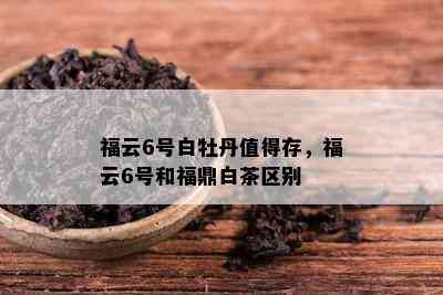 福云6号白牡丹值得存，福云6号和福鼎白茶区别