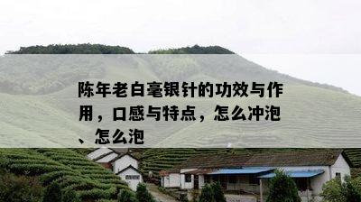 陈年老白毫银针的功效与作用，口感与特点，怎么冲泡、怎么泡