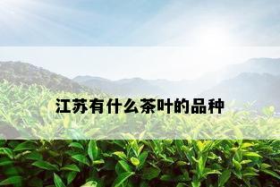 江苏有什么茶叶的品种