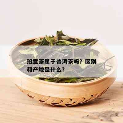 班章茶属于普洱茶吗？区别和产地是什么？