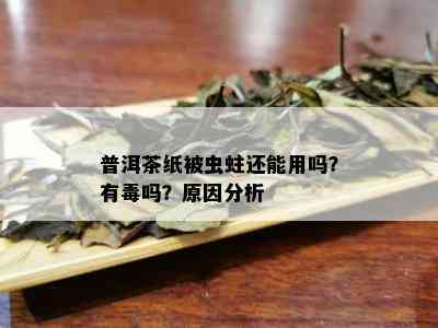 普洱茶纸被虫蛀还能用吗？有吗？原因分析