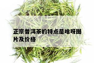 正宗普洱茶的特点是啥呀图片及价格