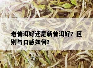 老普洱好还是新普洱好？区别与口感如何？