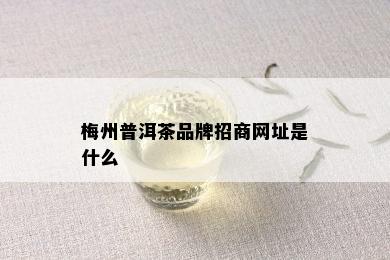 梅州普洱茶品牌招商网址是什么