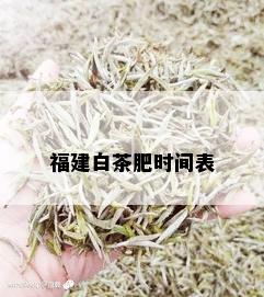 福建白茶肥时间表