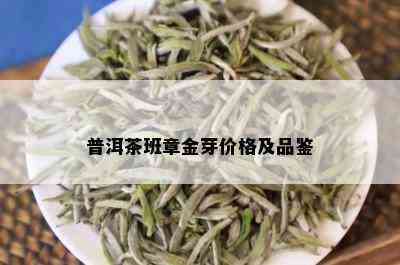 普洱茶班章金芽价格及品鉴