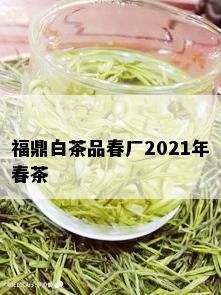 福鼎白茶品春厂2021年春茶