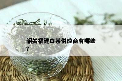 韶关福建白茶供应商有哪些？