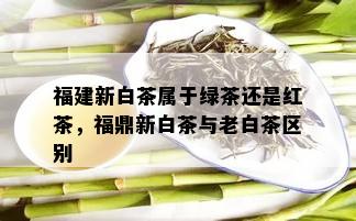 福建新白茶属于绿茶还是红茶，福鼎新白茶与老白茶区别