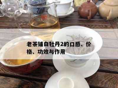 老茶铺白牡丹2的口感、价格、功效与作用