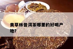 黄草林普洱茶哪里的好喝产地？