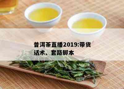 普洱茶直播2019:带货话术、套路脚本