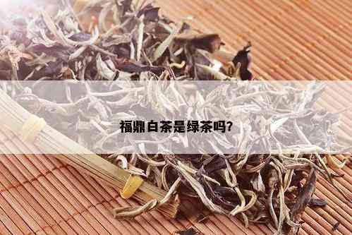 福鼎白茶是绿茶吗？