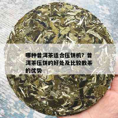 哪种普洱茶适合压饼机？普洱茶压饼的好处及比较散茶的优势