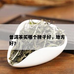 普洱茶买哪个牌子好，地方好？