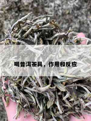 喝普洱茶具，作用和反应