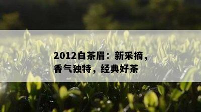 2012白茶眉：新采摘，香气独特，经典好茶