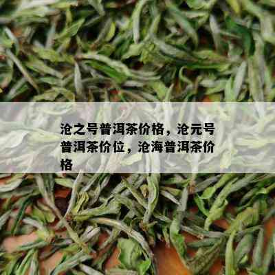 沧之号普洱茶价格，沧元号普洱茶价位，沧海普洱茶价格