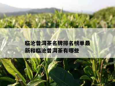 临沧普洱茶名牌排名榜单最新和临沧普洱茶有哪些