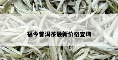 福今普洱茶最新价格查询