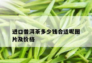 进口普洱茶多少钱合适呢图片及价格