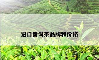 进口普洱茶品牌和价格