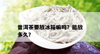 普洱茶要放冰箱嘛吗？能放多久？