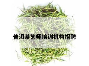 普洱茶艺师培训机构招聘