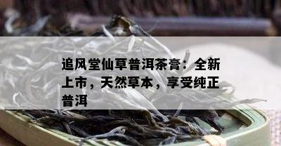 追风堂仙草普洱茶膏：全新上市，天然草本，享受纯正普洱