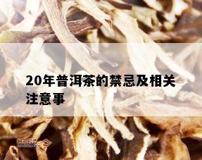 20年普洱茶的禁忌及相关注意事