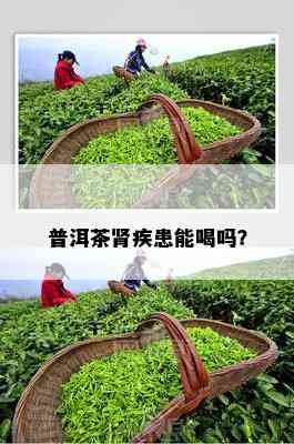 普洱茶肾疾患能喝吗？