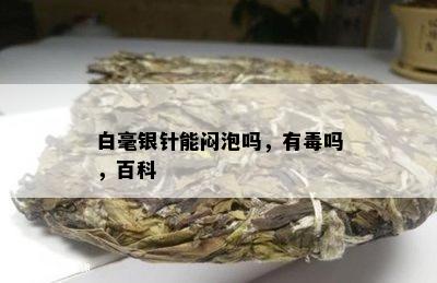 白毫银针能闷泡吗，有吗，百科