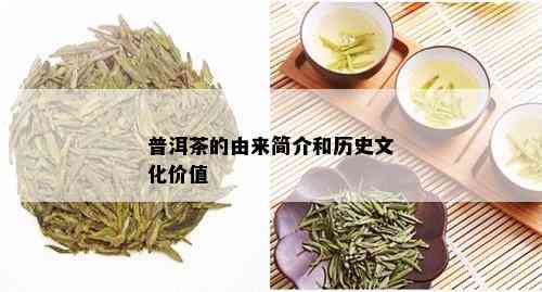 普洱茶的由来简介和历史文化价值