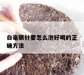 白毫银针要怎么泡好喝的正确方法