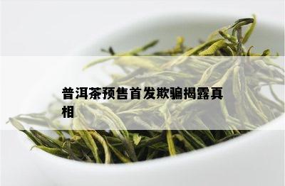 普洱茶预售首发欺骗揭露真相