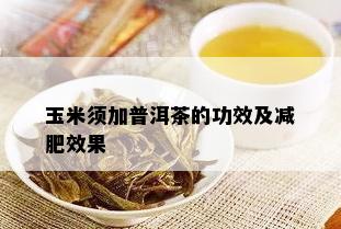 玉米须加普洱茶的功效及减肥效果